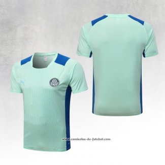 Camisola de Treinamento Palmeiras 22/23 Verde