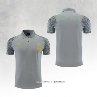 Camisola Polo del Liverpool 22/23 Cinza