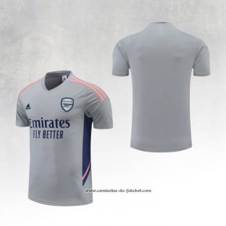 Camisola de Treinamento Arsenal 22/23 Cinza