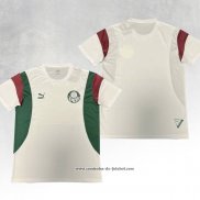 Camisola de Treinamento Palmeiras 23/24 Branco