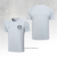 Camisola de Treinamento Palmeiras 23/24 Cinza