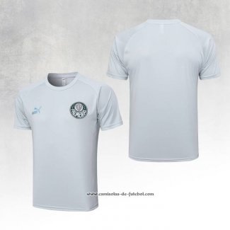 Camisola de Treinamento Palmeiras 23/24 Cinza