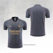 Camisola de Treinamento Arsenal 23/24 Cinza