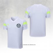 Camisola de Treinamento Palmeiras 23/24 Branco