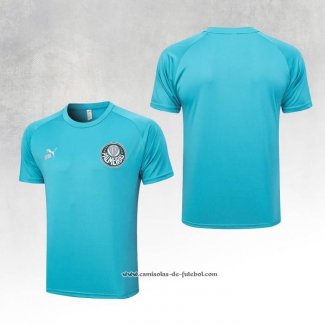 Camisola de Treinamento Palmeiras 23/24 Verde